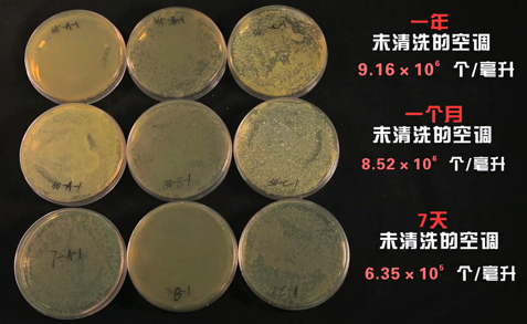 高温来袭 警惕ayx爱游官网散热片暗藏细菌 高温来袭 警惕ayx爱游官网散热片暗藏细菌